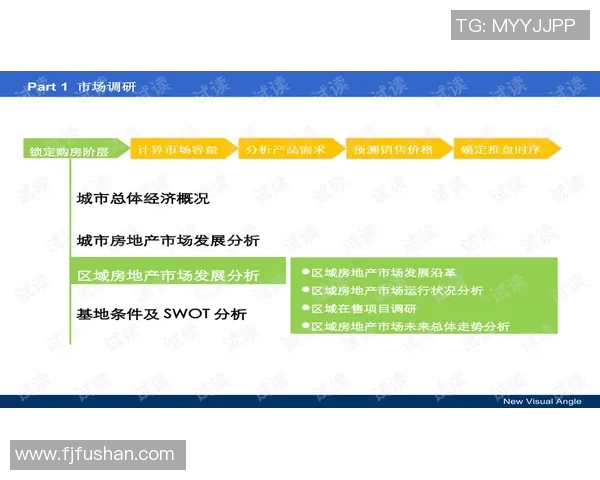 南京羽毛球队快攻战术解析与训练策略探讨
