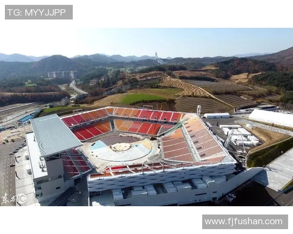 武汉乒乓球队在奥运会上的拼搏历程与荣耀时刻全景回顾