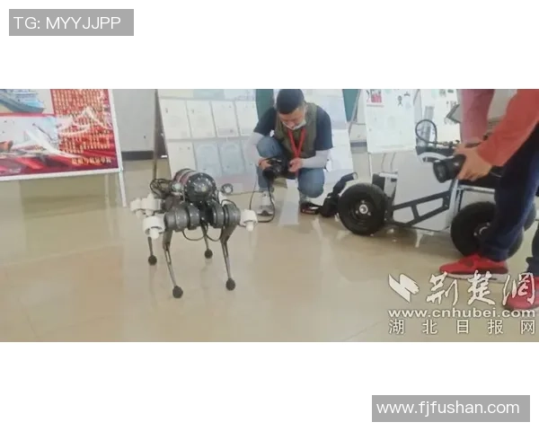 武汉羽毛球队速度表现分析及其对比赛成绩的影响探讨